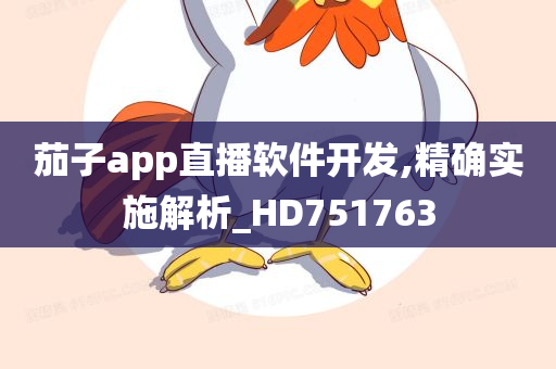 茄子app直播软件开发,精确实施解析_HD751763