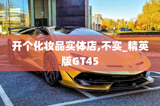 开个化妆品实体店,不实_精英版GT45