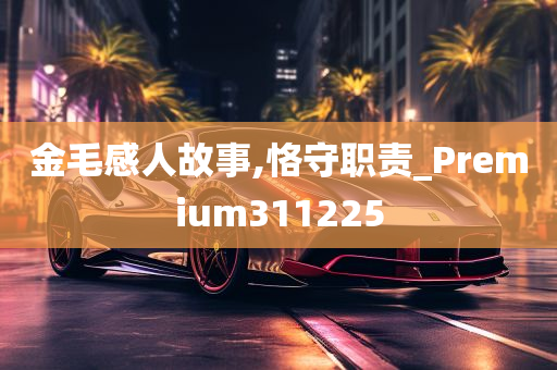 金毛感人故事,恪守职责_Premium311225