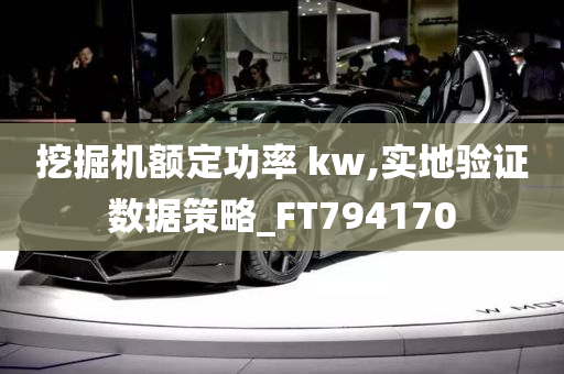 挖掘机额定功率 kw,实地验证数据策略_FT794170