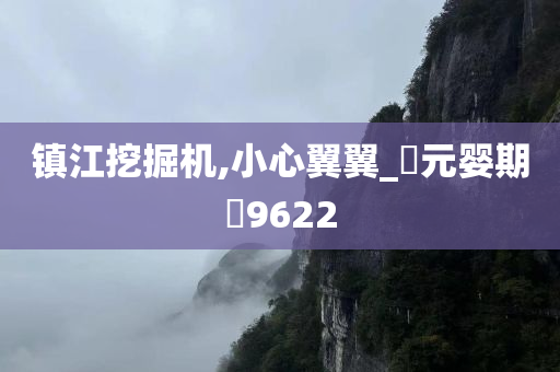 镇江挖掘机,小心翼翼_‌元婴期‌9622