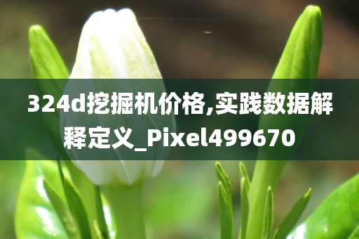 324d挖掘机价格,实践数据解释定义_Pixel499670