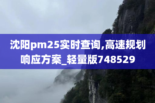 沈阳pm25实时查询,高速规划响应方案_轻量版748529