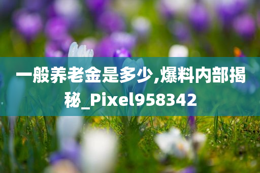 一般养老金是多少,爆料内部揭秘_Pixel958342