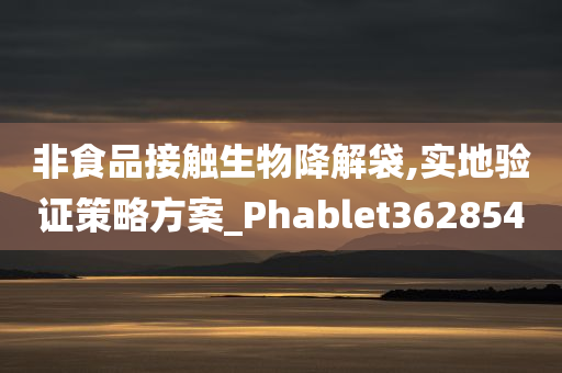 非食品接触生物降解袋,实地验证策略方案_Phablet362854