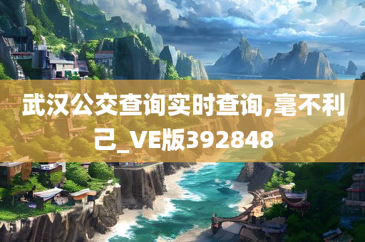 武汉公交查询实时查询,毫不利己_VE版392848