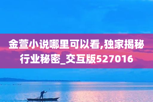 金萱小说哪里可以看,独家揭秘行业秘密_交互版527016