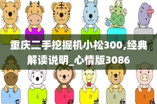 重庆二手挖掘机小松300,经典解读说明_心情版3086