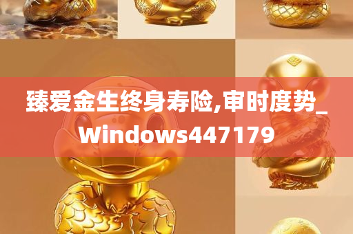 臻爱金生终身寿险,审时度势_Windows447179