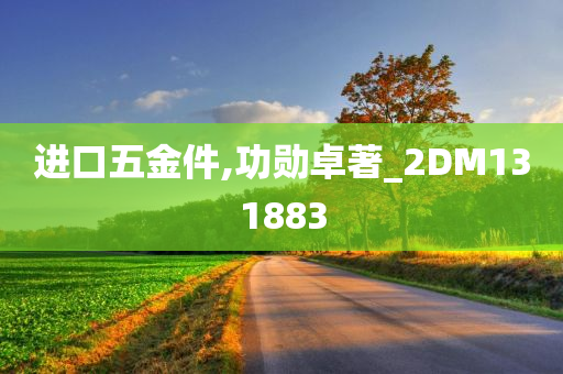 进口五金件,功勋卓著_2DM131883