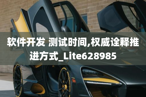 软件开发 测试时间,权威诠释推进方式_Lite628985