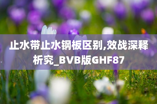 止水带止水钢板区别,效战深释析究_BVB版GHF87