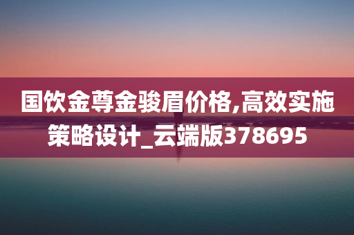 国饮金尊金骏眉价格,高效实施策略设计_云端版378695