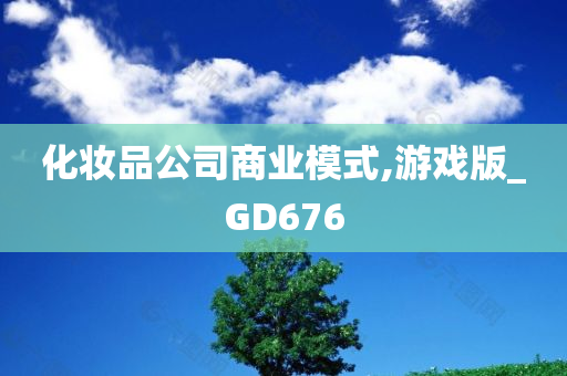 化妆品公司商业模式,游戏版_GD676