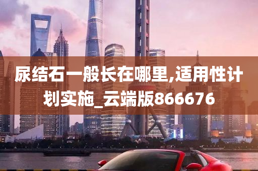 尿结石一般长在哪里,适用性计划实施_云端版866676