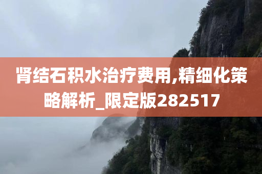 肾结石积水治疗费用,精细化策略解析_限定版282517