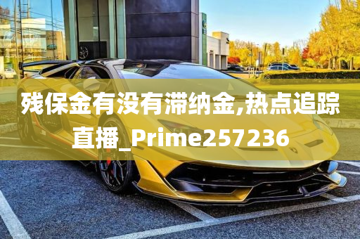 残保金有没有滞纳金,热点追踪直播_Prime257236