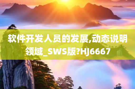 软件开发人员的发展,动态说明领域_SWS版?HJ6667