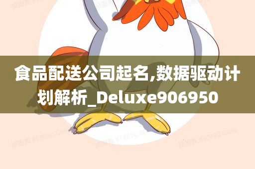 食品配送公司起名,数据驱动计划解析_Deluxe906950