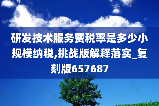 研发技术服务费税率是多少小规模纳税,挑战版解释落实_复刻版657687