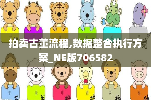 拍卖古董流程,数据整合执行方案_NE版706582