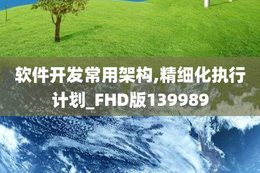 软件开发常用架构,精细化执行计划_FHD版139989