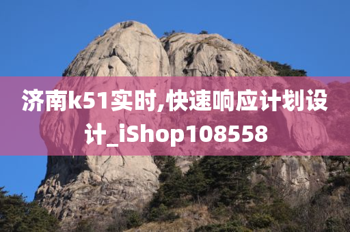 济南k51实时,快速响应计划设计_iShop108558