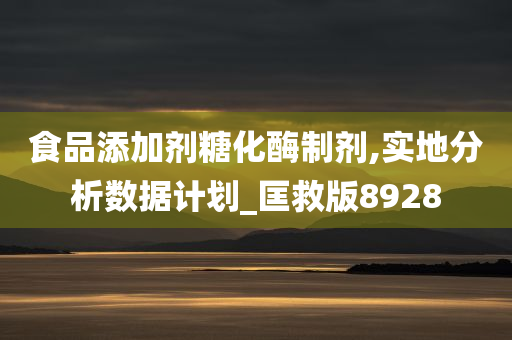 食品添加剂糖化酶制剂,实地分析数据计划_匡救版8928