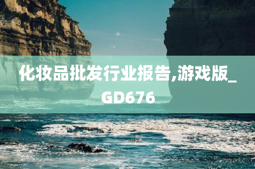 化妆品批发行业报告,游戏版_GD676