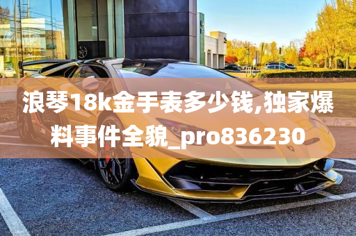 浪琴18k金手表多少钱,独家爆料事件全貌_pro836230