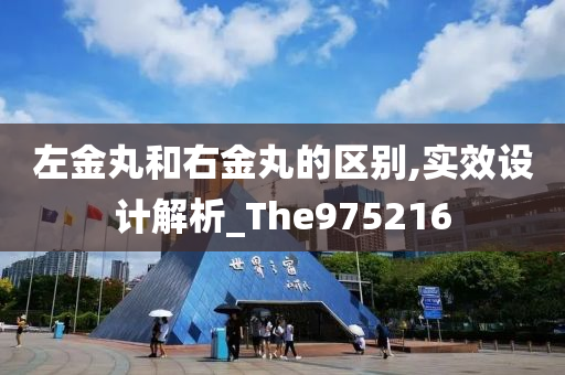 左金丸和右金丸的区别,实效设计解析_The975216