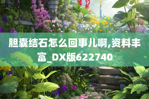 胆囊结石怎么回事儿啊,资料丰富_DX版622740