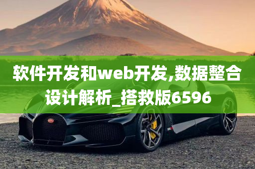 软件开发和web开发,数据整合设计解析_搭救版6596