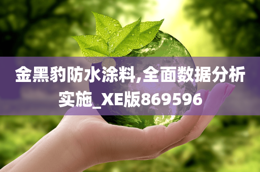 金黑豹防水涂料,全面数据分析实施_XE版869596