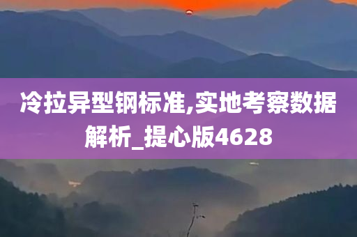 冷拉异型钢标准,实地考察数据解析_提心版4628