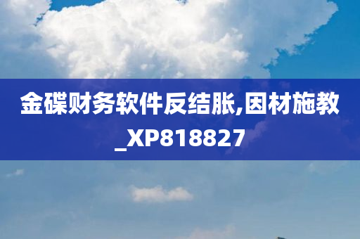 金碟财务软件反结胀,因材施教_XP818827