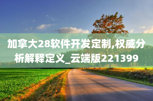 加拿大28软件开发定制,权威分析解释定义_云端版221399