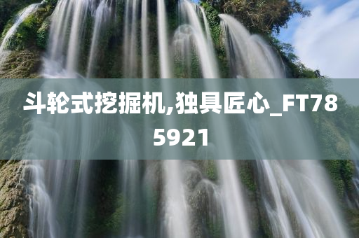 斗轮式挖掘机,独具匠心_FT785921