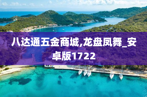 八达通五金商城,龙盘凤舞_安卓版1722