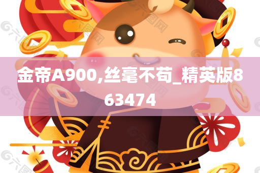 金帝A900,丝毫不苟_精英版863474