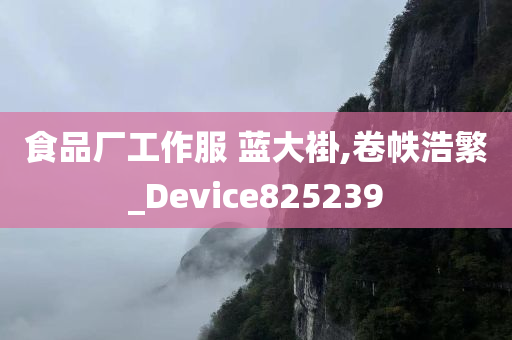 食品厂工作服 蓝大褂,卷帙浩繁_Device825239