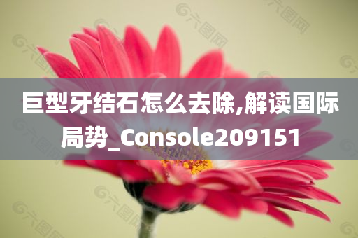 巨型牙结石怎么去除,解读国际局势_Console209151