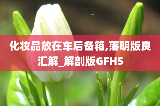 化妆品放在车后备箱,落明版良汇解_解剖版GFH5