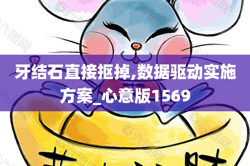 牙结石直接抠掉,数据驱动实施方案_心意版1569