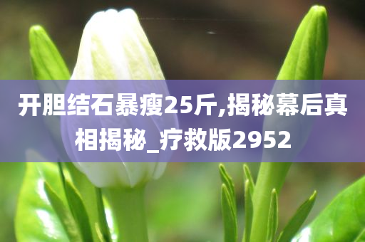 开胆结石暴瘦25斤,揭秘幕后真相揭秘_疗救版2952