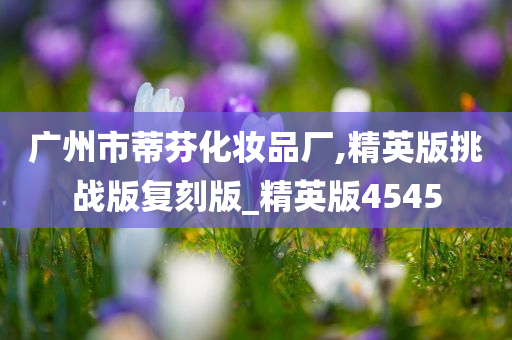 广州市蒂芬化妆品厂,精英版挑战版复刻版_精英版4545