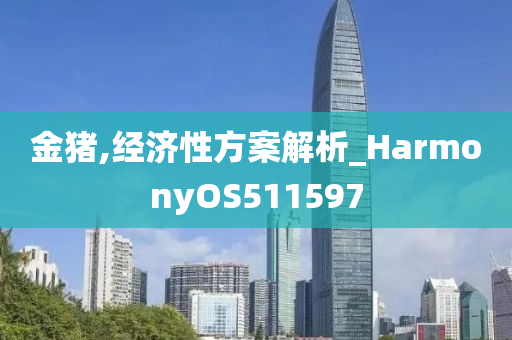 金猪,经济性方案解析_HarmonyOS511597