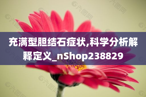 充满型胆结石症状,科学分析解释定义_nShop238829