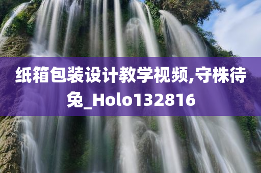 纸箱包装设计教学视频,守株待兔_Holo132816