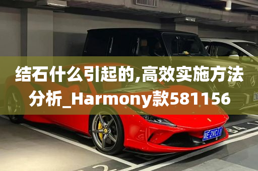 结石什么引起的,高效实施方法分析_Harmony款581156